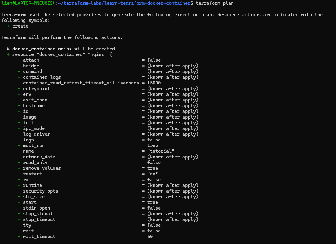 Screenshot: terraform plan output showing the two resources to be created.