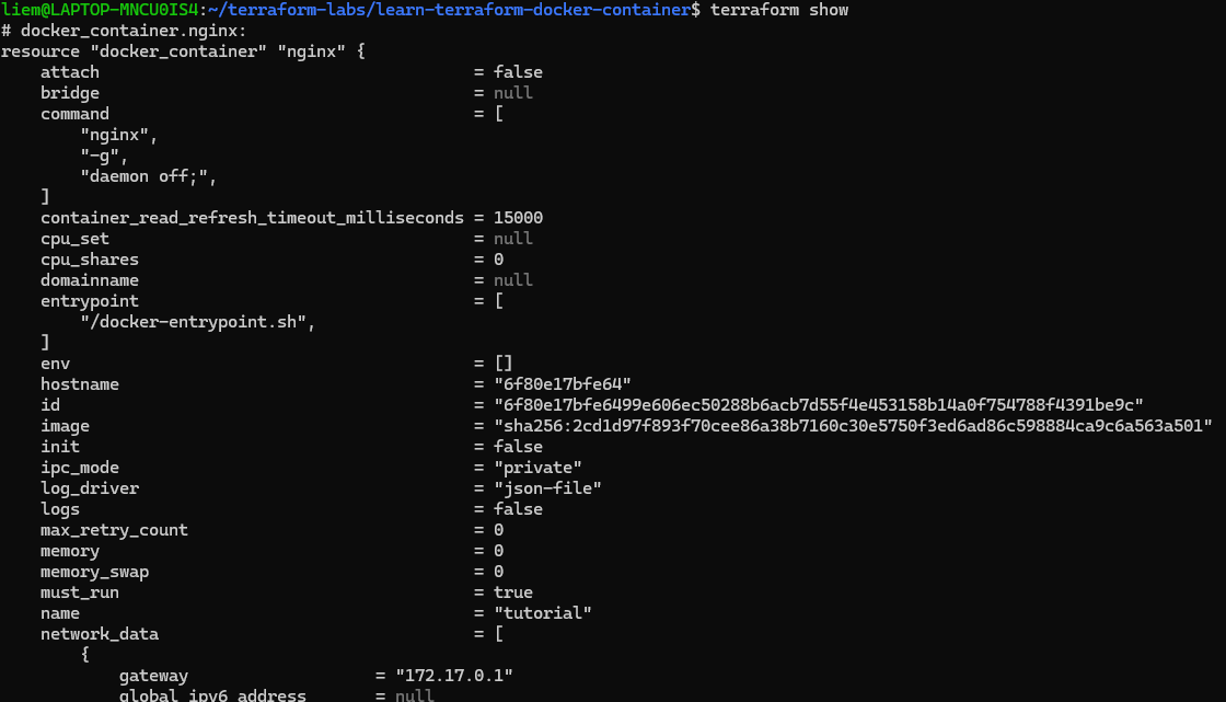 Screenshot: terraform show output for the docker_image and docker_container resources.