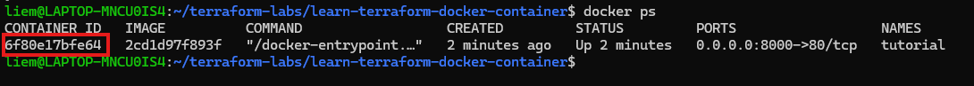 Screenshot: docker ps showing the tutorial container running and mapped to port 8000.