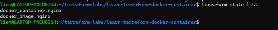 Screenshot: terraform state list showing docker_image.nginx and docker_container.nginx.