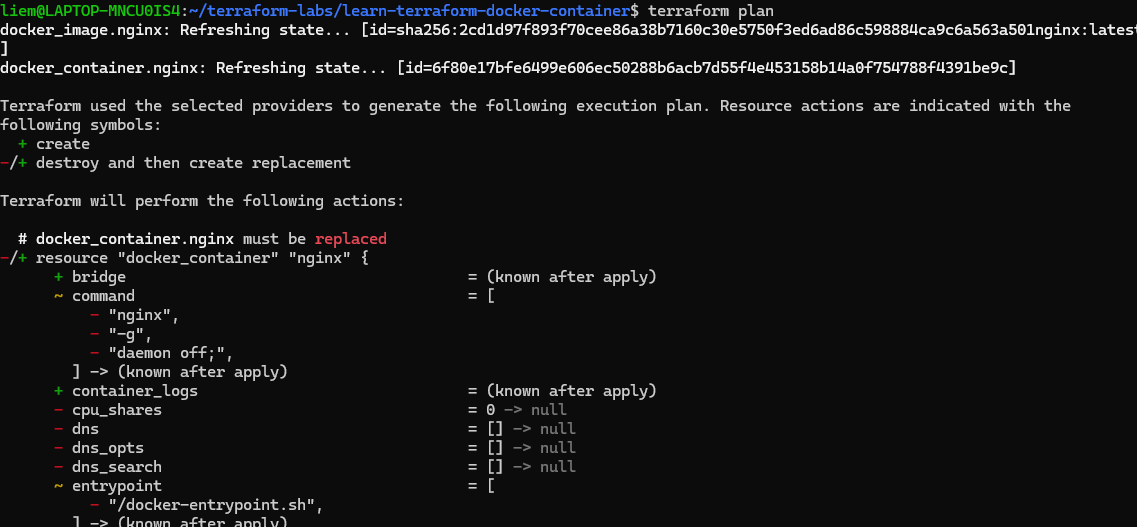Screenshot: terraform plan showing docker_container.nginx must be replaced, with the ports and hostname diff.