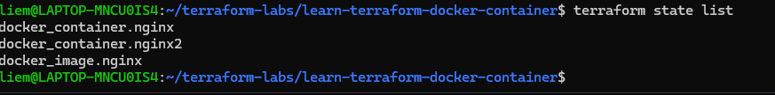 Screenshot: terraform state list showing docker_container.nginx, docker_container.nginx2, and docker_image.nginx.