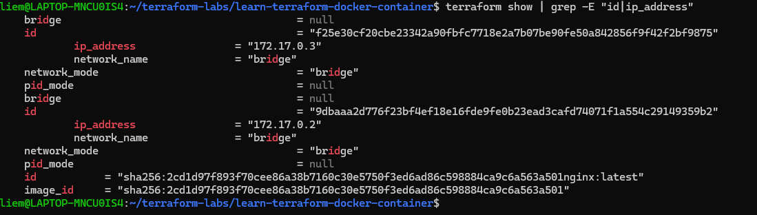 Screenshot: terraform show filtered output showing each container’s id and ip_address on the bridge network.