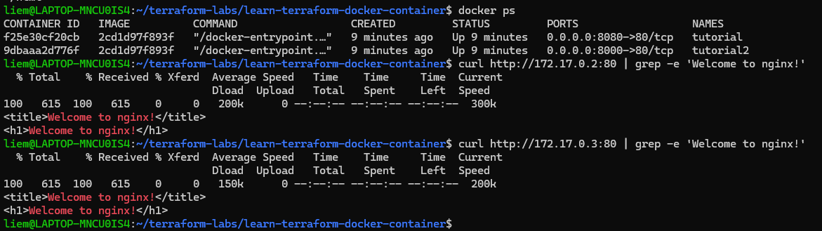 Screenshot: docker ps showing both containers running, plus curl output confirming the nginx welcome page from each container’s internal IP.