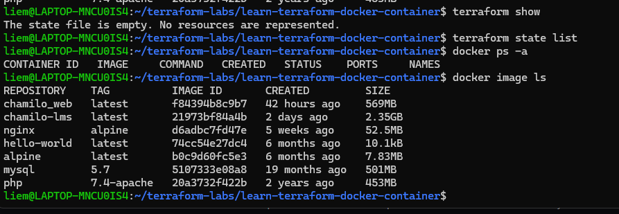 Screenshot: terraform show reporting an empty state, terraform state list returning nothing, docker ps -a showing no containers, and docker image ls showing only unrelated images from other projects.