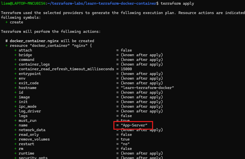 Screenshot: terraform apply plan showing docker_container.nginx will be created, with name resolving to “App-Server”.