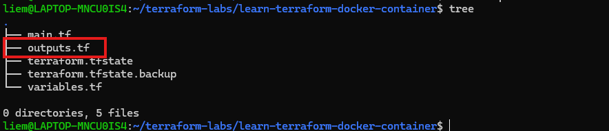 Screenshot: tree output showing main.tf, outputs.tf, terraform.tfstate, terraform.tfstate.backup, and variables.tf — 5 files total.
